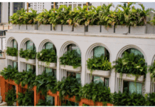 Elkin Quintero (Provenco LATAM): “Con DAS Audio conseguimos una experiencia sonora homogénea en todos los ambientes del OSH Hotel Cartagena”