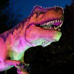 showtec-dinosaur-discovery-track-zoologico-auckland