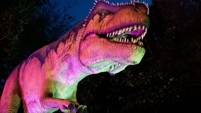 showtec-dinosaur-discovery-track-zoologico-auckland