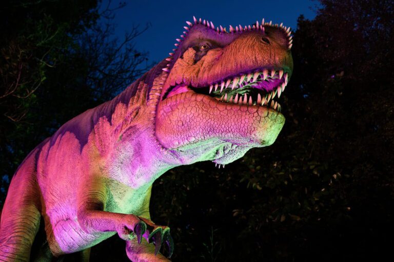 showtec-dinosaur-discovery-track-zoologico-auckland