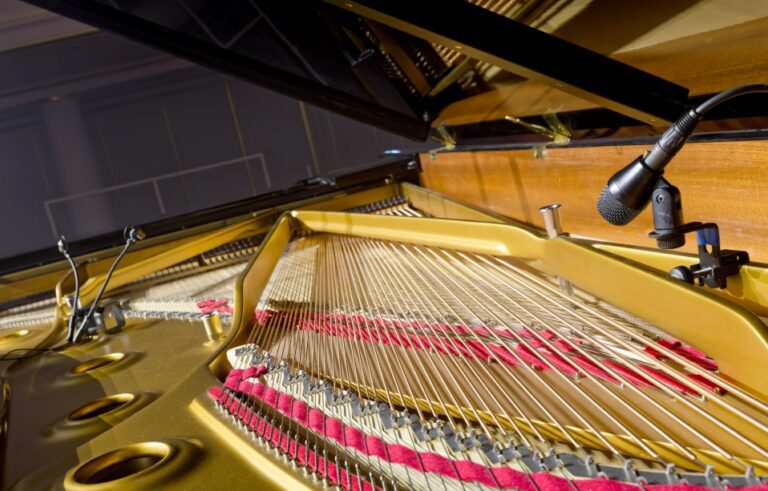 Una combinación de micrófonos inusual: además del set estéreo para piano MCM 114, Seeliger montó un e 904 sobre las cuerdas graves.