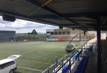 altavoces segurg acoustic line