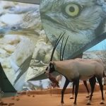 integración sistemas audiovisuales