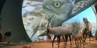 integración sistemas audiovisuales