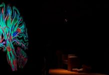 Proyectores láser Christie desvela los secretos del cerebro humano los proyectores láser Christie