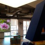 Instalación equipos de sonido profesional audac