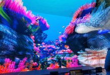 Christie Pandoras Box