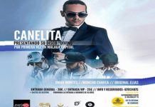 conciertos en directo