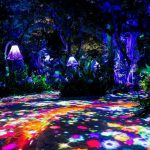 Los conmutadores GigaCore de Luminex en las 47 atracciones de los parques temáticos de Chimelong conmutadores GigaCore de Luminex