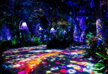 Los conmutadores GigaCore de Luminex en las 47 atracciones de los parques temáticos de Chimelong conmutadores GigaCore de Luminex