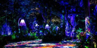 conmutadores GigaCore de Luminex