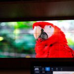 tecnologías LCD y SDVoE de Christie