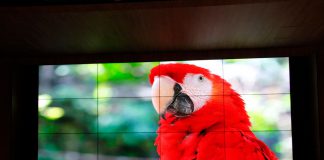 tecnologías LCD y SDVoE de Christie