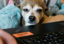 Cinco claves para crear contenido en remoto, con los sistemas de creación de gestión de programación y emisión de contenidos sistemas de creación de gestión de programación y emisión de contenidos