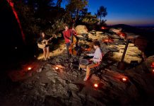 focos de iluminación profesional de Cameo