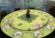 proyectores láser 1DLP® de la Serie Inspire DWU760-iS de Christie