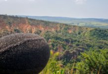 micrófonos Sennheiser MKH y los auriculares HD 26