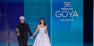 cabezas móviles de Cameo