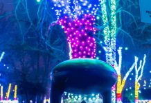 Campaña promocional para el altavoz de suelo para exteriores IG108 de Ecler altavoces de suelo para exteriores, como el Ecler IG108