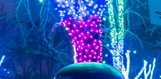 altavoces de suelo para exteriores, como el Ecler IG108