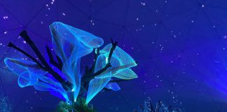 Los proyectores láser de la Serie HS de Christie en el espectáculo del planeta Nebula