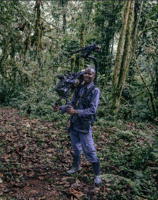 La grabación y posproducción del documental de la Selva de Bwindi con la tecnología y equipos de Blackmagic 