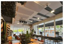 Descubre con que paneles acústicos se consiguió mejorar la acústica de la oficina del Mejor Cowork del Mundo: Avila Spaces