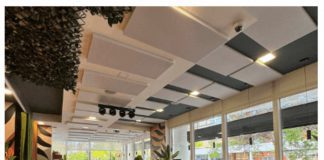 Descubre con que paneles acústicos se consiguió mejorar la acústica de la oficina del Mejor Cowork del Mundo: Avila Spaces