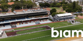 los mejores sistemas de sonido profesional para eventos deportivos Tesira DSP de Biamp