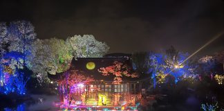 proyectores-laser-1dlp-christie-mejores-espectaculos-mapping-inmersivo
