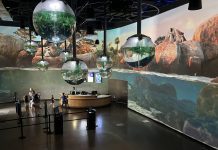 experiencia inmersiva del acuario OdySea con tecnologia de Christie