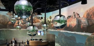 experiencia inmersiva del acuario OdySea con tecnologia de Christie