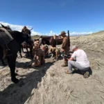Devils on Horses filmado con Blackmagic Cinema Camera 6K