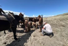 Devils on Horses filmado con Blackmagic Cinema Camera 6K