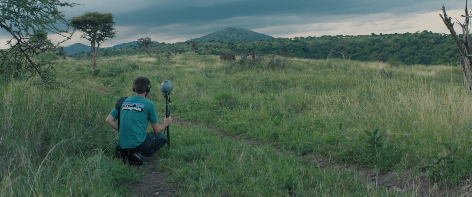 grabación de sonido en la naturaleza para documental con micrófonos Sennheiser MKH 8000
