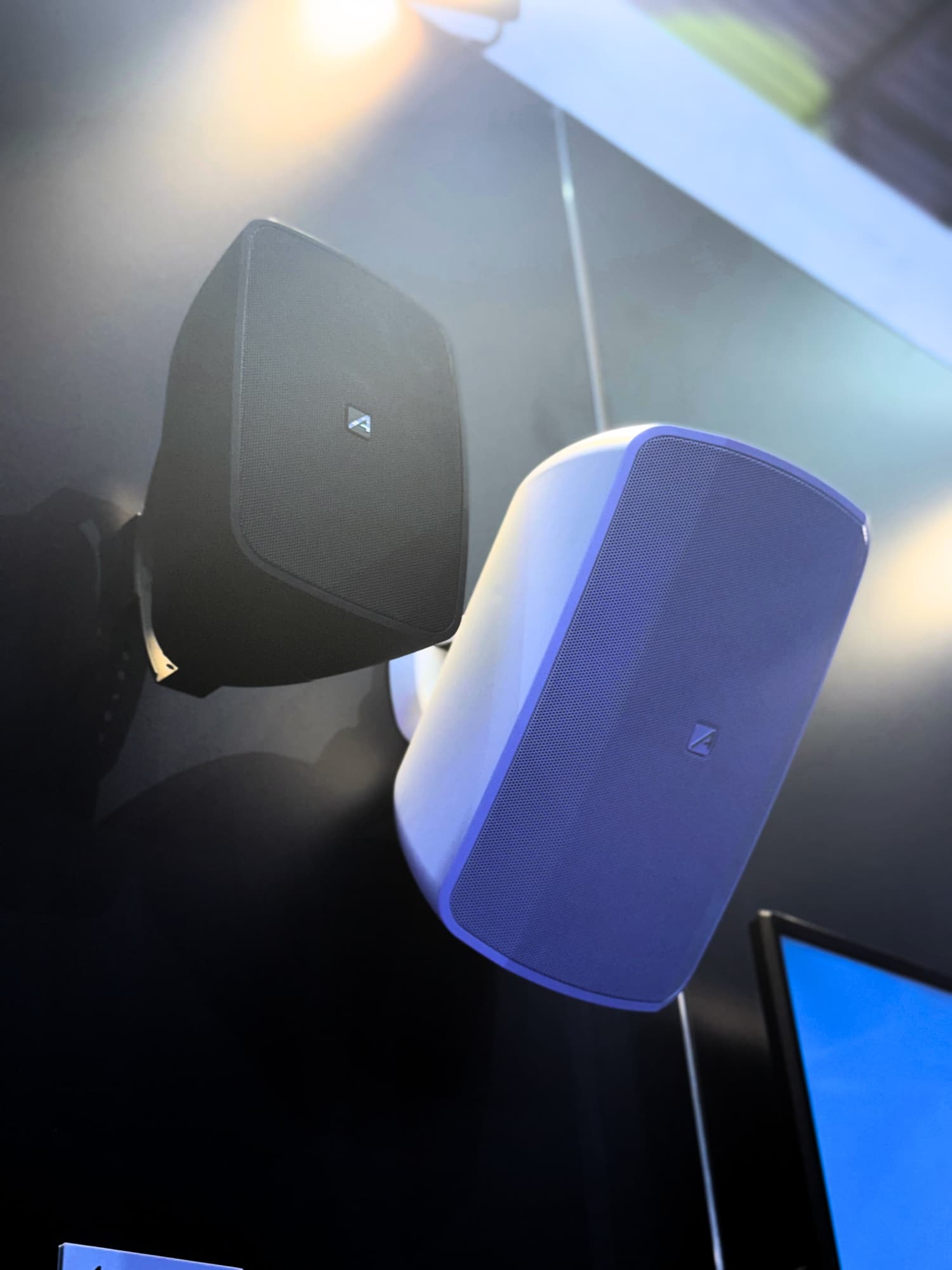 Diseno sin titulo 41