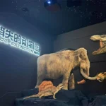 Diorama con mamut, tiranosaurio y tigre dientes de sable bajo el rotulo Zoo of Extinction en el Suzhou Science and Technology Museum