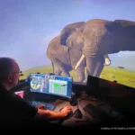 Operador ajusta la proyección láser puro RGB de Christie en el domo fulldome de Orlando Science Center con un elefante africano a tamaño real