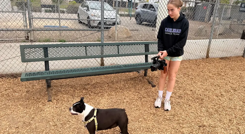 Estudiante con sudadera de Carlsbad filma a un perro en un parque con una cámara Blackmagic