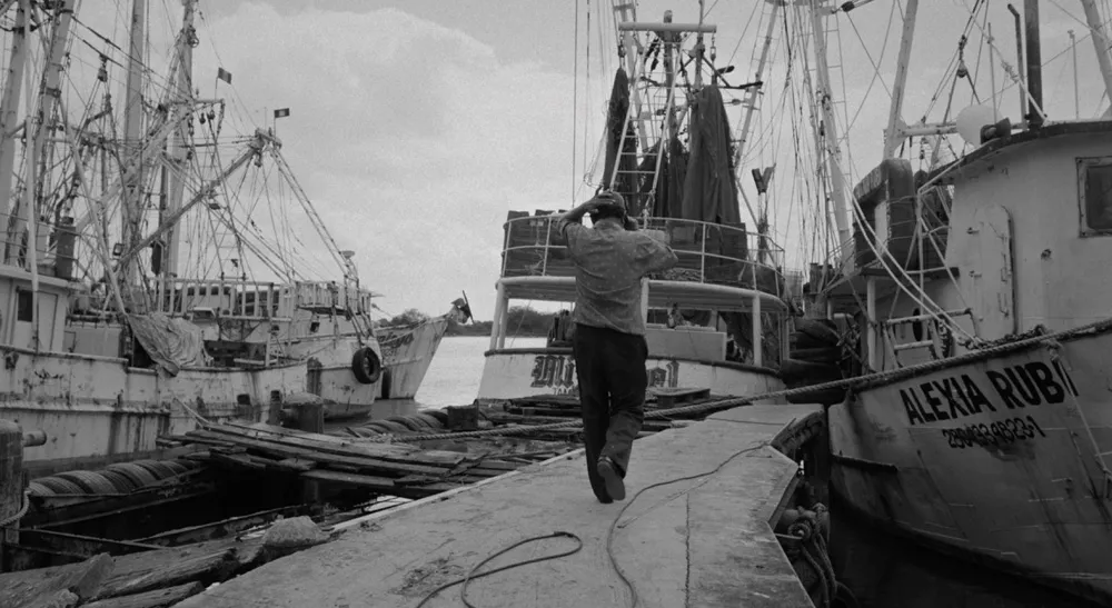 Blackmagic PYXIS 6K filma Lo invisible entre ríos y embarcaciones 4 Muelle con barcos pesqueros bajo la luz dura del mediodía en el norte de México