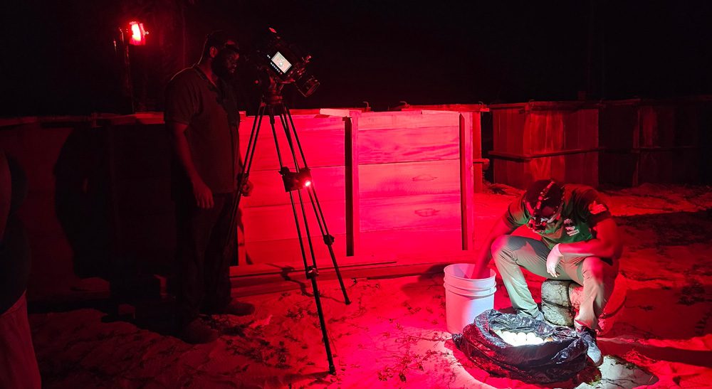 Equipo de Nature Seekers durante el rodaje nocturno de tortugas con iluminación roja