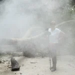 Rodaje en un bosque tropical de Malasia con una cámara compacta sobre monopié entre la bruma